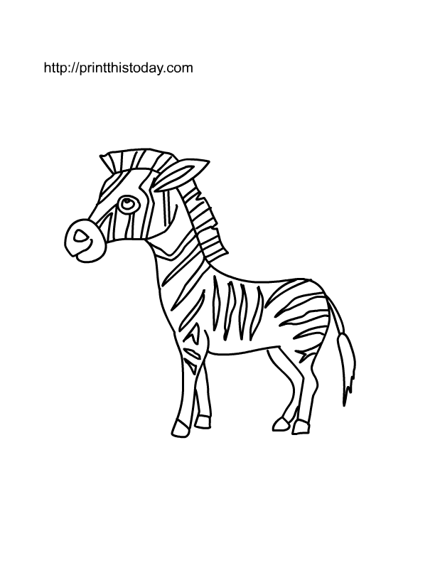 zebra coloring pages free printable - photo #50