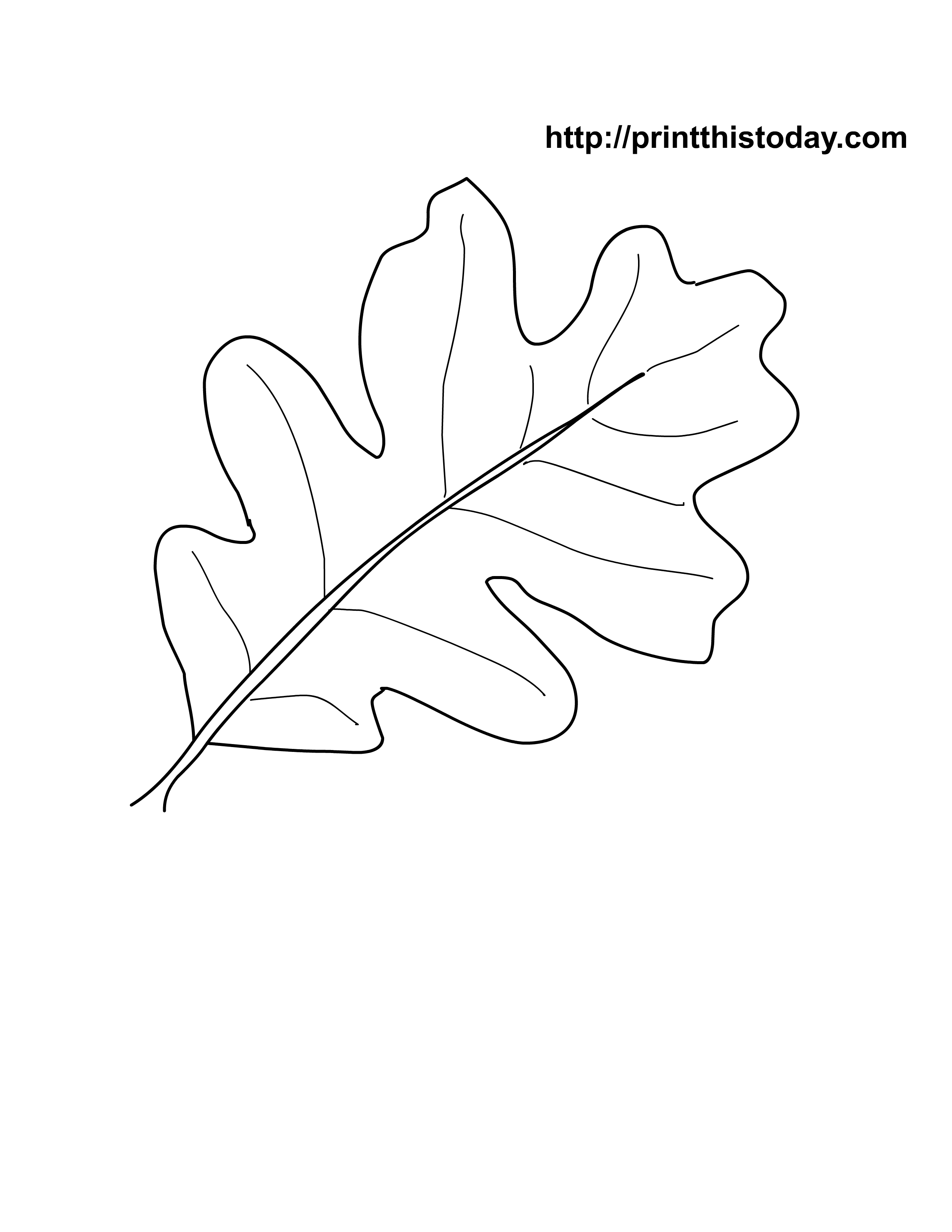 oak leaf with acorns coloring pages - photo #23