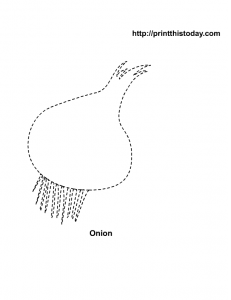 Onion printable for tracing and coloring