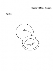 Apricot coloring Page for kids