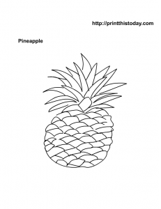Coloring Page Pineapple