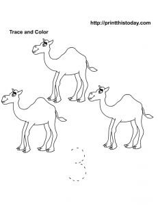 Trace, count and color number 3 Worksheet