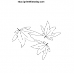 Maple leaves printable coloring page