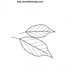 Cute free printable Autumn leaves coloring Pages for kids