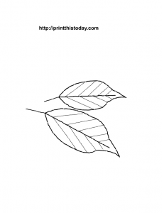 Cute free printable Autumn leaves coloring Pages for kids