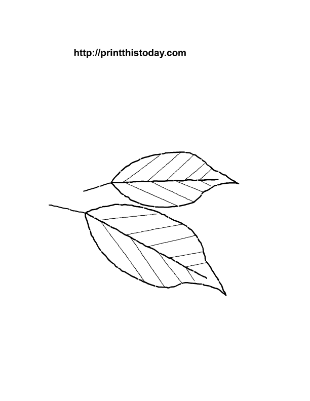 Free printable thanksgiving coloring Pages