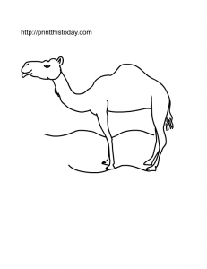 Free Printable Camel Coloring Page