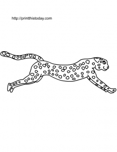 Free Printable Cheetah Coloring Page