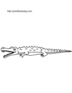 Free Printable Crocodile Coloring Page