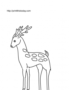 Free Printable Deer Coloring Page
