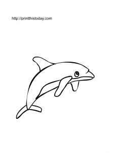 a cute little dolphin coloring page for kids