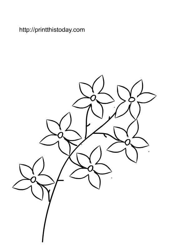 free printable spring flowers coloring pages