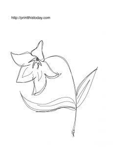 Hand drawn flower coloring page