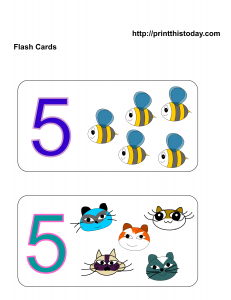 Number 5 math flashcards