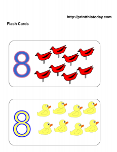 free number 8 flashcards
