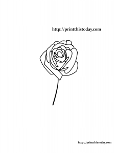 Beautiful rose coloring page