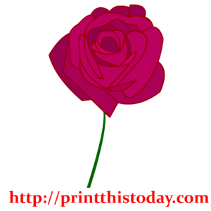 valentine rose clipart
