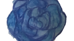 Blue watercolor rose