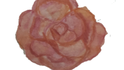 Handmade Orange Rose