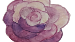 Free handmade watercolor rose clipart