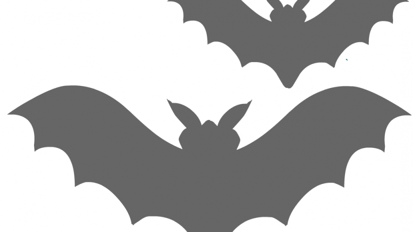 Free Printable Halloween Bats Stencil