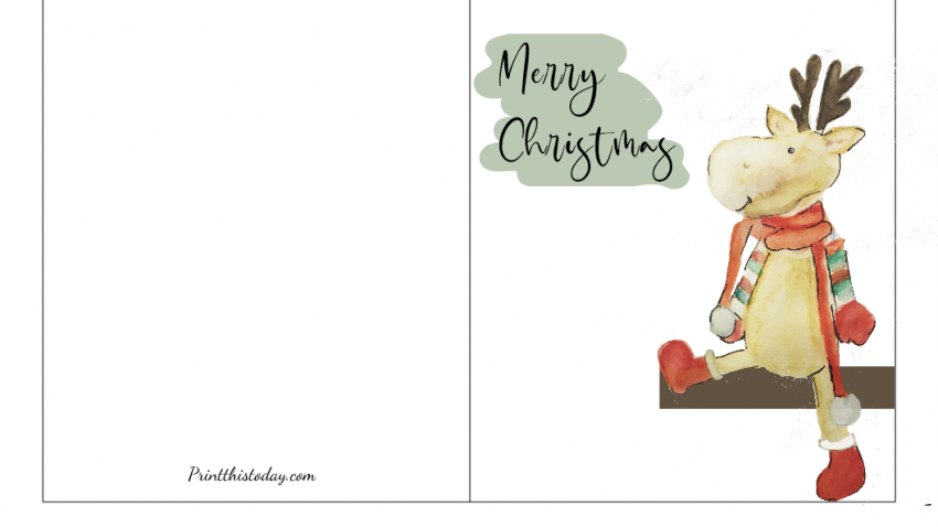 Merry Christmas Moose