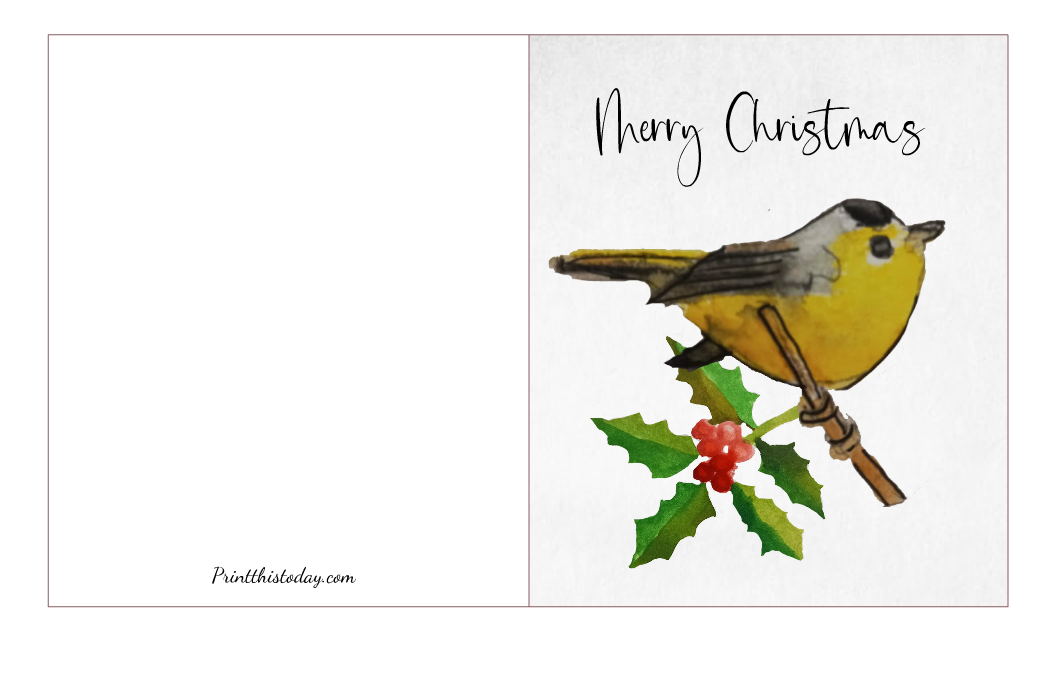 Christmas Bird and a Branch of Holly