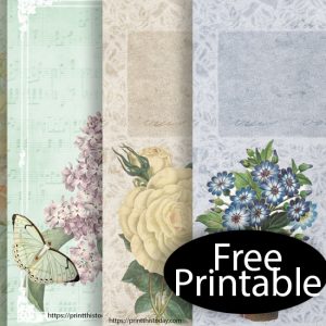 Free Printable Shabby Chic Journal Stationery Pages