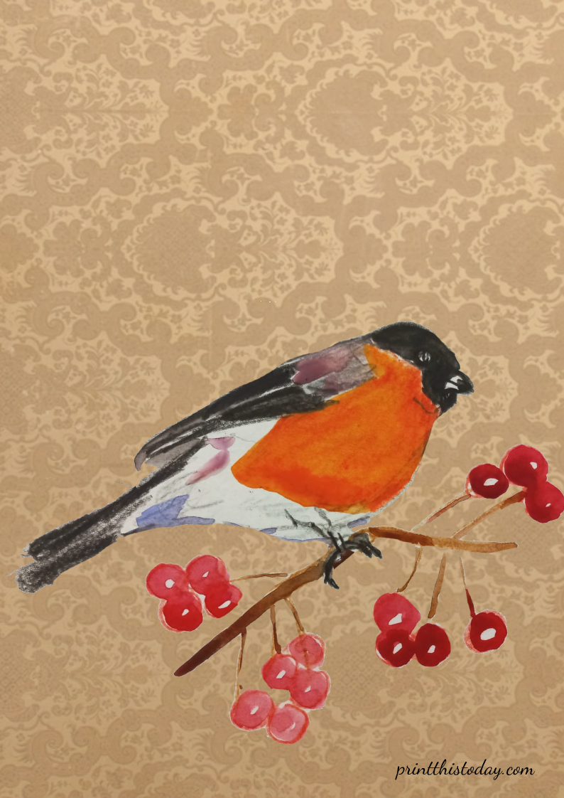 Christmas Stationery featuring a Bird