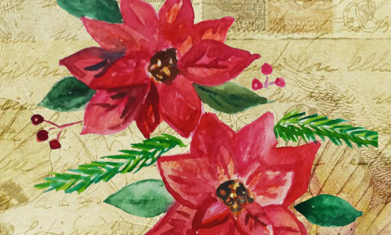 Poinsettia Flowers Stationery