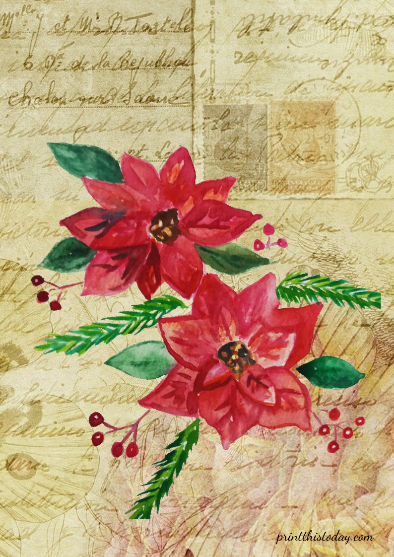 Poinsettia Flowers Stationery