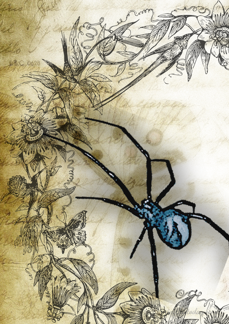 Free Printable Junk Journal Stationery featuring Spider