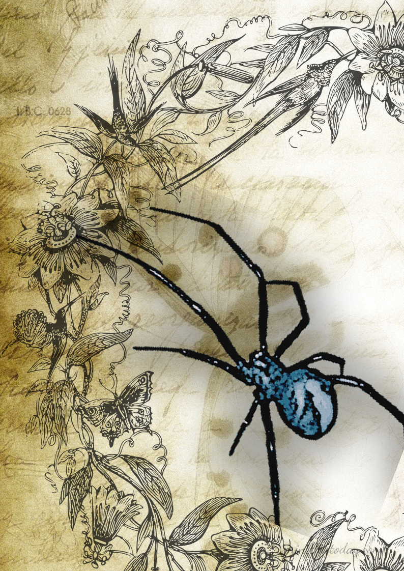 Junk Journal, Haunted Pages, Spider Journal Notes, Ephemera