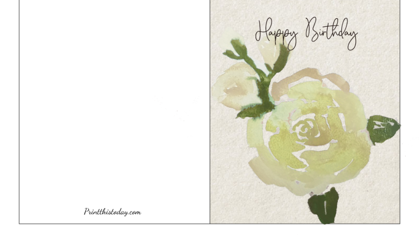 Cute Roses Birthday Card for Her