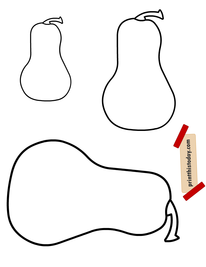 Squash Outlines in Three Sizes